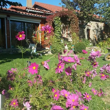 Independant Dans Maison A La Campagne 3* Egliseneuve-pres-Billom