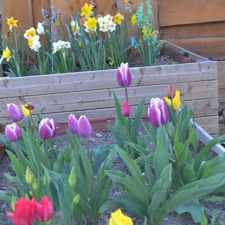 B&B Independant Dans Maison A La Campagne Egliseneuve-pres-Billom