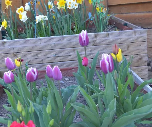 Bed & Breakfast Independant Dans Maison A La Campagne Egliseneuve-pres-Billom